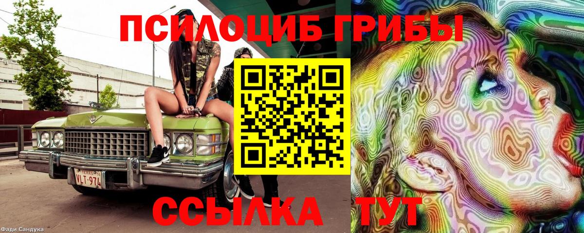 Галлюциногенные грибы MAGIC MUSHROOMS  Вход с VPN  Псилоцибиновые грибы ЛСД  Ачинск 